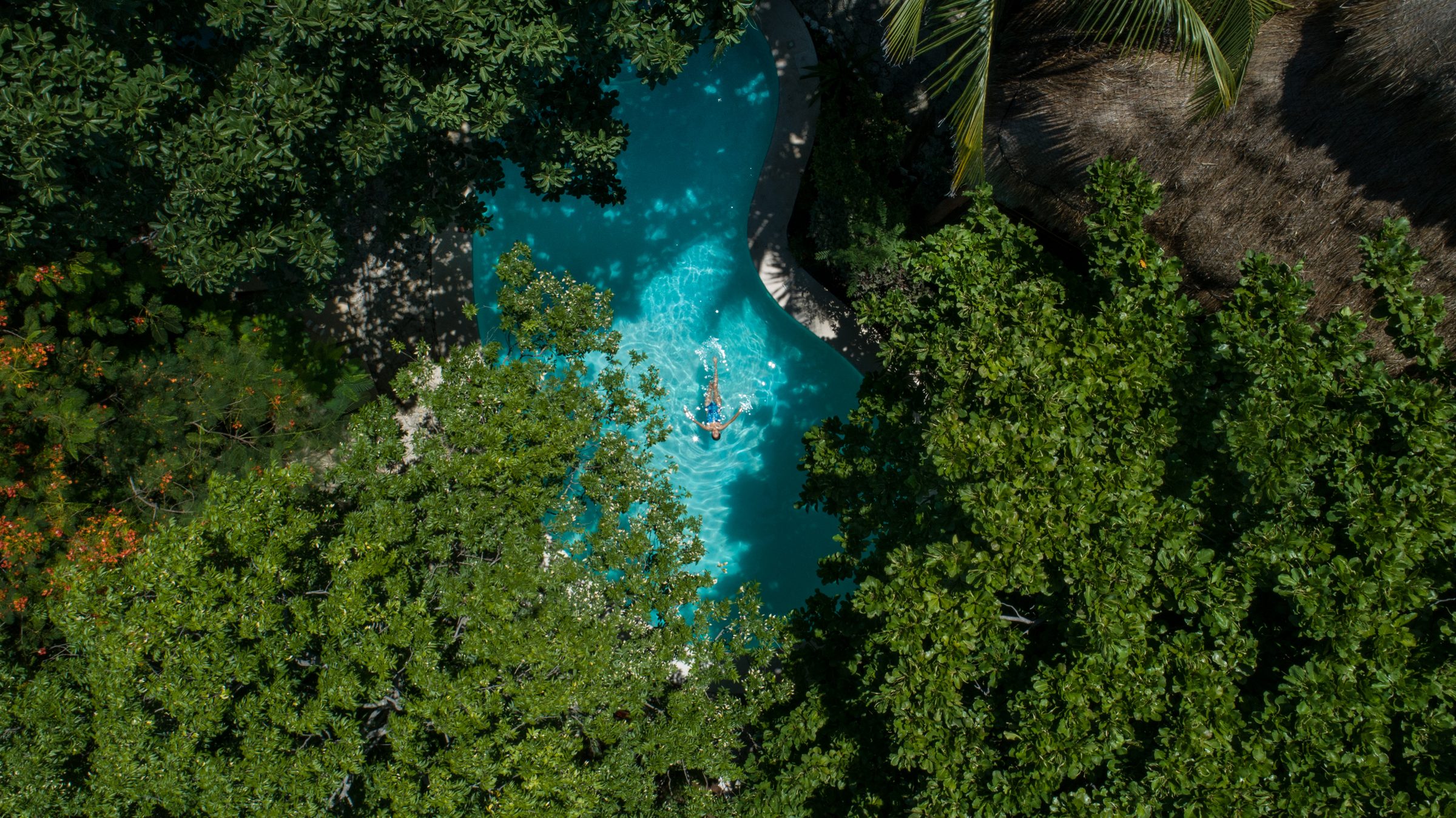 Vista aérea de la alberca de Na Balam entre la selva