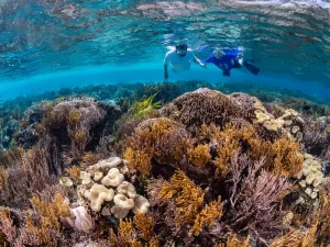 Snorkeling Isla Mujeres