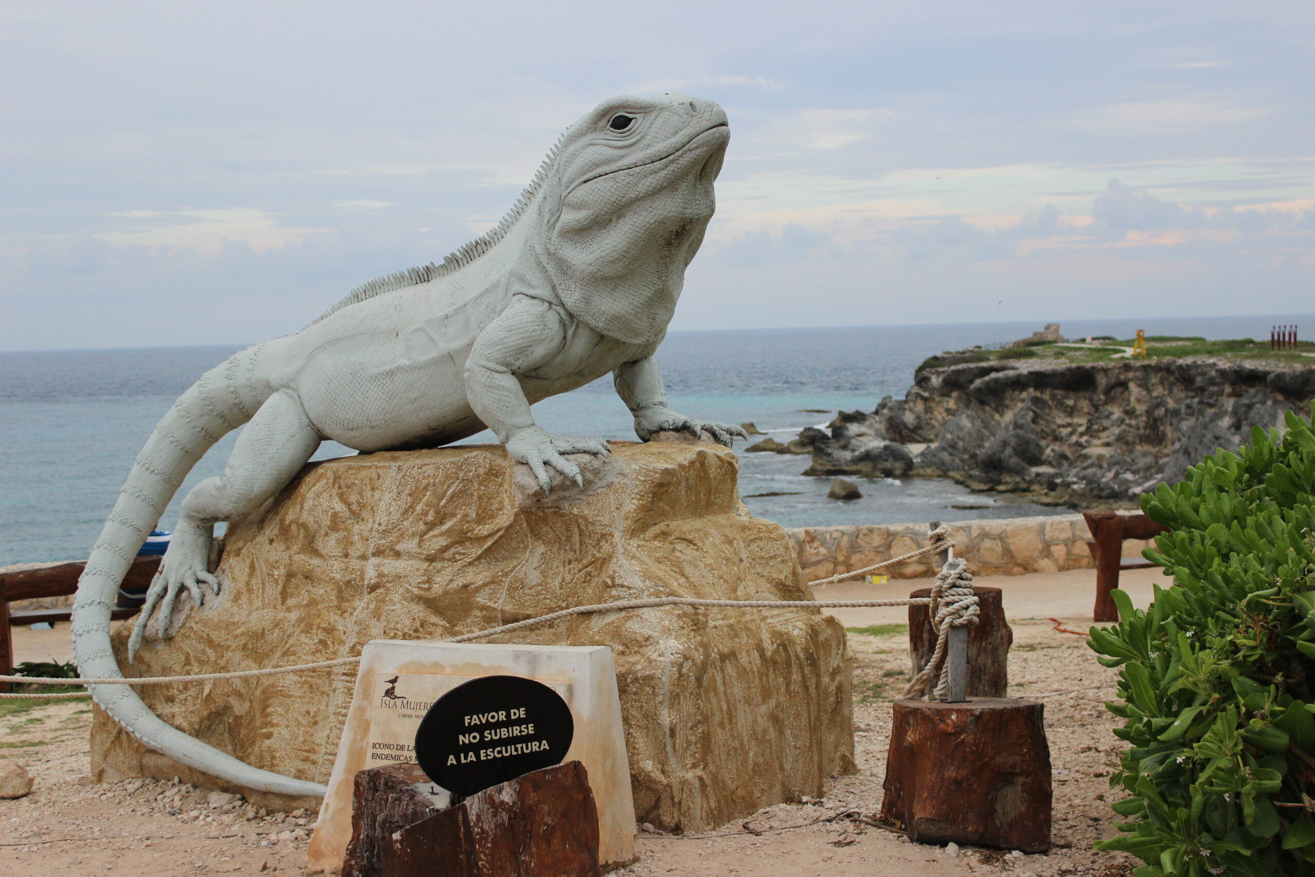 isla mujeres iguana monument